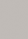 Cole & Son Wallpaper Coral Stone