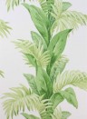 Nina Campbell Papier peint Palmetto - Green/ Ivory