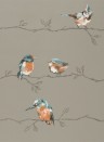Vogeltapete Persico von Harlequin - Tangerine/ Duckegg