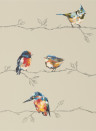 Harlequin Wallpaper Persico Coral/ Lemon