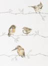 Vogeltapete Persico von Harlequin - Neutral/ Chalk