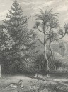 Rebel Walls Mural Jungle Land Vintage Teil A