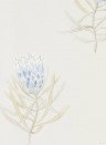 Tapete Protea Flower von Sanderson - China Blue/ Canvas