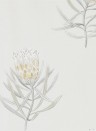 Sanderson Papier peint Protea Flower - Daffodil/ Natural