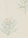 Sanderson Papier peint Protea Flower - Russet/ Green