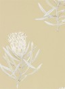 Sanderson Papier peint Protea Flower - Sepia/ Champagne
