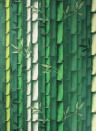 Osborne & Little Wallpaper Bamboo Emerald