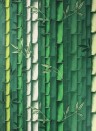 Osborne & Little Papier peint Bamboo - Emerald