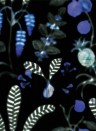 Nobilis Wallpaper Daiquiri COS163