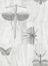 Arte International Wallpaper Wings 42001