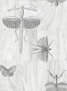 Insektentapete Wings von ARTE - 42001