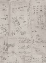 Mindthegap Carta da parati Math - WP20045