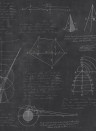Mindthegap Carta da parati Newton Geometry - WP20046