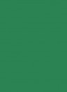 Les Couleurs Le Corbusier poLyChro Farbe - 32050 vert foncé - 5l