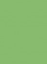 Les Couleurs Le Corbusier poLyChro Farbe - 32051 vert 31 - 0,1l
