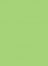 Les Couleurs Le Corbusier poLyChro Farbe - 32052 vert clair - 5l