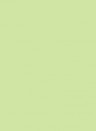 Les Couleurs Le Corbusier poLyChro Farbe - 32053 vert jaune clair - 2,5l