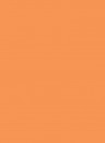 Les Couleurs Le Corbusier poLyChro Farbe - 32081 orange clair - 5l