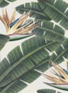MINDTHEGAP Wallpaper Tropical Bloom WP20096