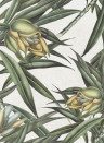 MINDTHEGAP Wallpaper Exotic Fruit II WP20098