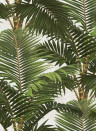 MINDTHEGAP Wallpaper Jardin Tropical WP20104