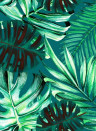 Mindthegap Papier peint Rainforest - WP20108