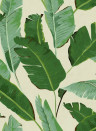 MINDTHEGAP Wallpaper Banana Leaves WP20111