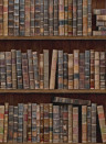 MINDTHEGAP Wallpaper Book Shelves WP20112