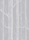 Cole & Son Papier peint Woods Icons - Grey/ White