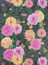 Matthew Williamson Wallpaper Duchess Garden Charcoal/ Fuchsia/ Saffron