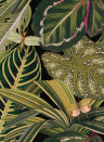 MINDTHEGAP Wallpaper Amazonia WP20159