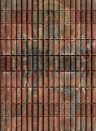 MINDTHEGAP Wallpaper Chakrasamvara WP20254