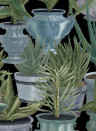 Mindthegap Papier peint Echeveria - WP20163