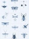 Insektentapete Entomology von MIND THE GAP - WP20235