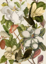 MINDTHEGAP Wallpaper Magnolia WP20152