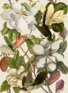 Florale Tapete Magnolia von MINDTHEGAP - WP20152