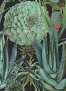 Mindthegap Carta da parati Succulentus - WP20167