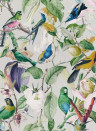 Mindthegap Papier peint Tropical Birds - WP20172