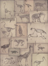 MINDTHEGAP Wallpaper Zooarchaeology WP20236