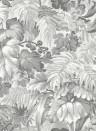Cole & Son Wallpaper Royal Fernery Warm Grey