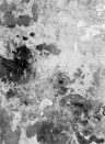 Rebel Walls Mural Fragments - Charcoal