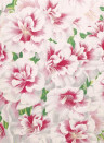 Blüten Tapete Variegated Azalea von John Derian - Azalea