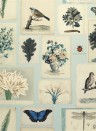 John Derian Papier peint Flora and Fauna - Cloud Blue
