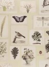 John Derian Papier peint Flora and Fauna - Canvas