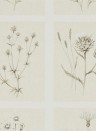 Sanderson Wallpaper Little Thistles Ecru
