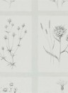Botanische Tapete Little Thistles von Sanderson - Pewter