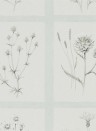 Sanderson Wallpaper Little Thistles Grey/ Blue