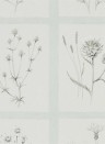 Botanische Tapete Little Thistles von Sanderson - Grey Blue
