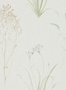 Florale Tapete Farne Grasses von Sanderson - Cream/ Sage