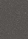 Cole & Son Wallpaper Malachite Charcoal/ Silver